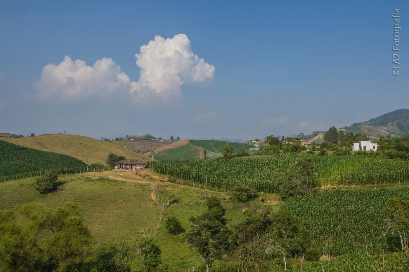 Cielo con nubes sobre los cultivos de una vereda de El Carmen de Viboral